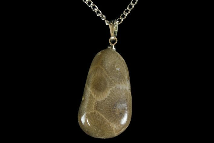 Polished Petoskey Stone (Fossil Coral) Necklace - Michigan #156181